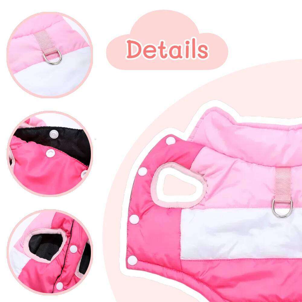 Winter Dog Clothes for Small Medium Dogs Warm Pet Jacket With D-Ring Windproof Waterproof Puppy Coat Chihuahua Yorkshire Outfits XJ260127