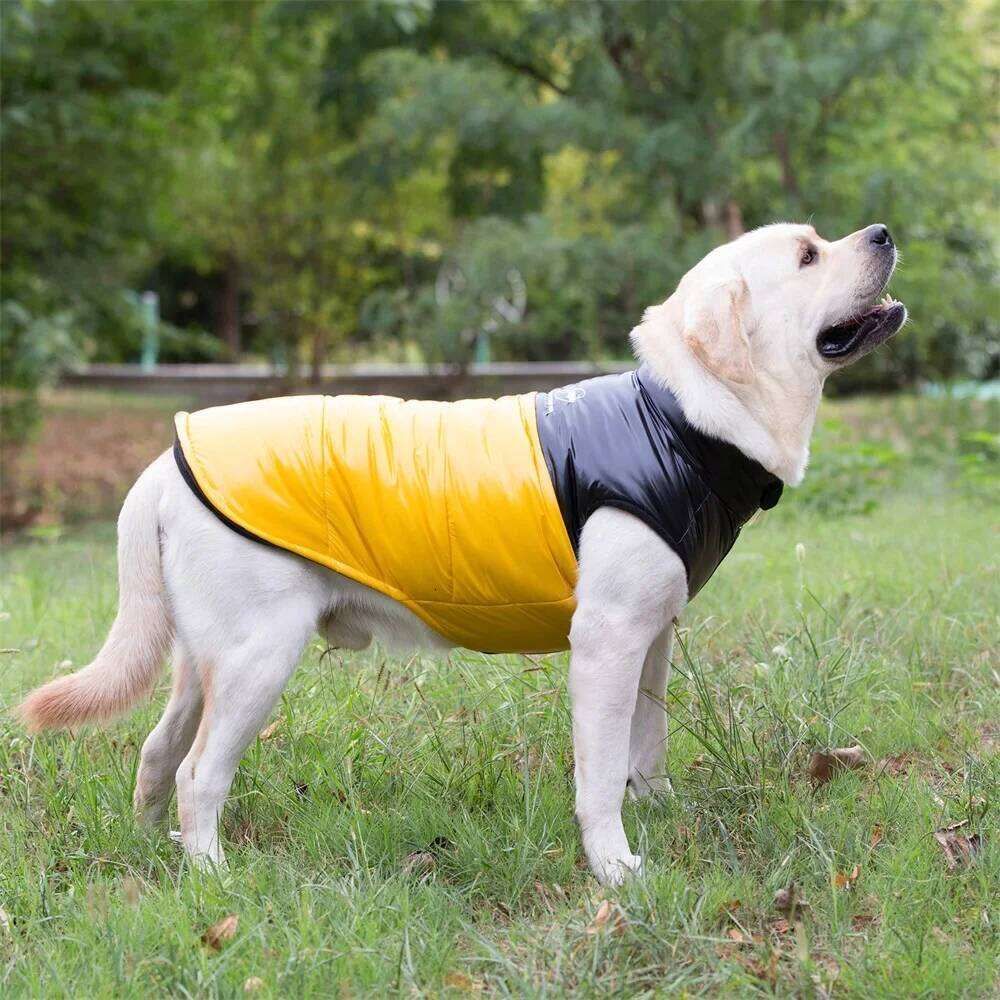 Golden Retriever.Waterproof Winter Jacket Clothes for Medium Large Dogs Warm Big Dog Padded Vest Clothing Labrador XJ260127