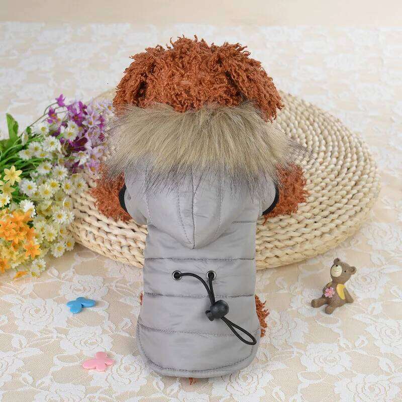 XS-XL Warm Small Coat Jacket Puppy Outfits For Chihuahua Yorkie Dog Winter Clothes Pets Clothing Chiuaua XJ260127