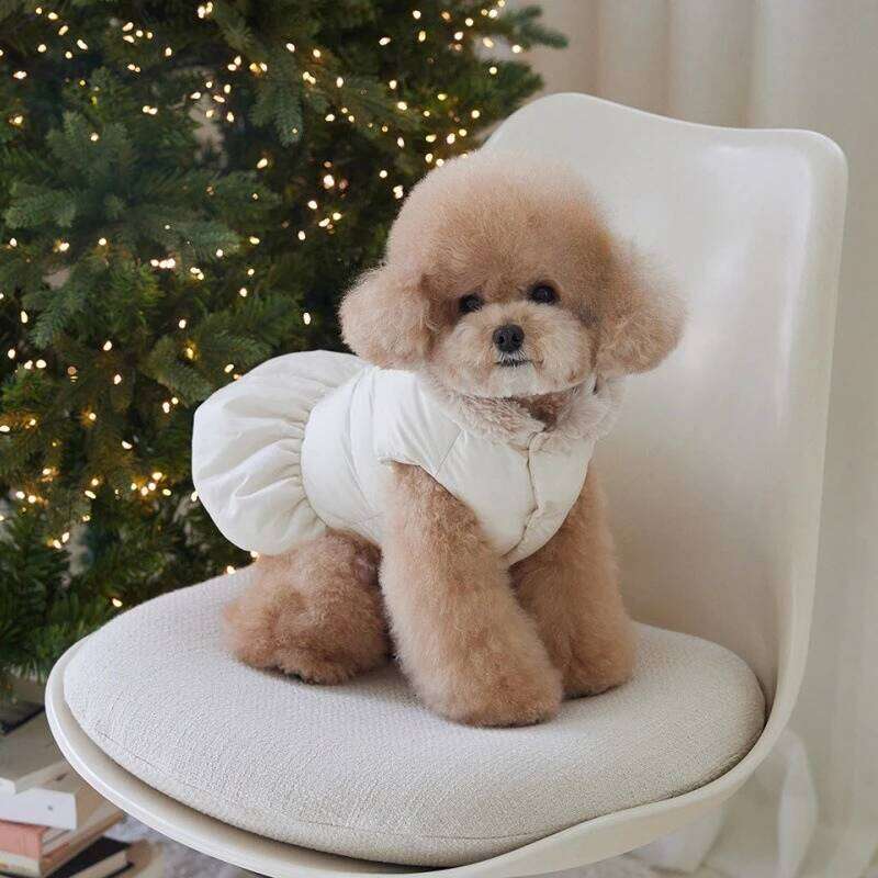 Pet Thick Coat Autumn/Winter Christmas New Year Small Dog Schnauzer Teddy Bow Hat Cotton Jacket Puppy Clothes XJ260127