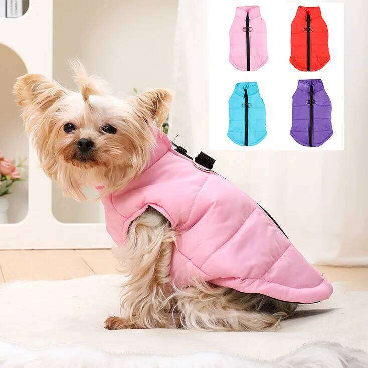 Pet clothing for autumn winter, thick dog clothing, warm cotton jacket, solid color vest, waterproof and windproof jacket XJ260127