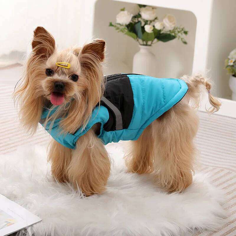 Pet dog clothes, autumn and winter clothing with traction loop, chest back vest, thickened warm jacket XJ260127