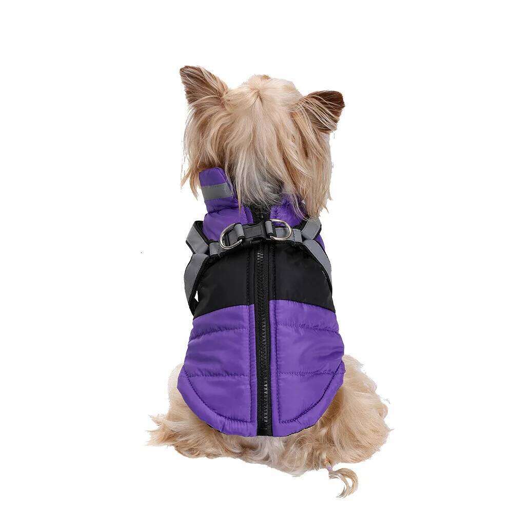 Pet dog clothes, autumn and winter clothing with traction loop, chest back vest, thickened warm jacket XJ260127