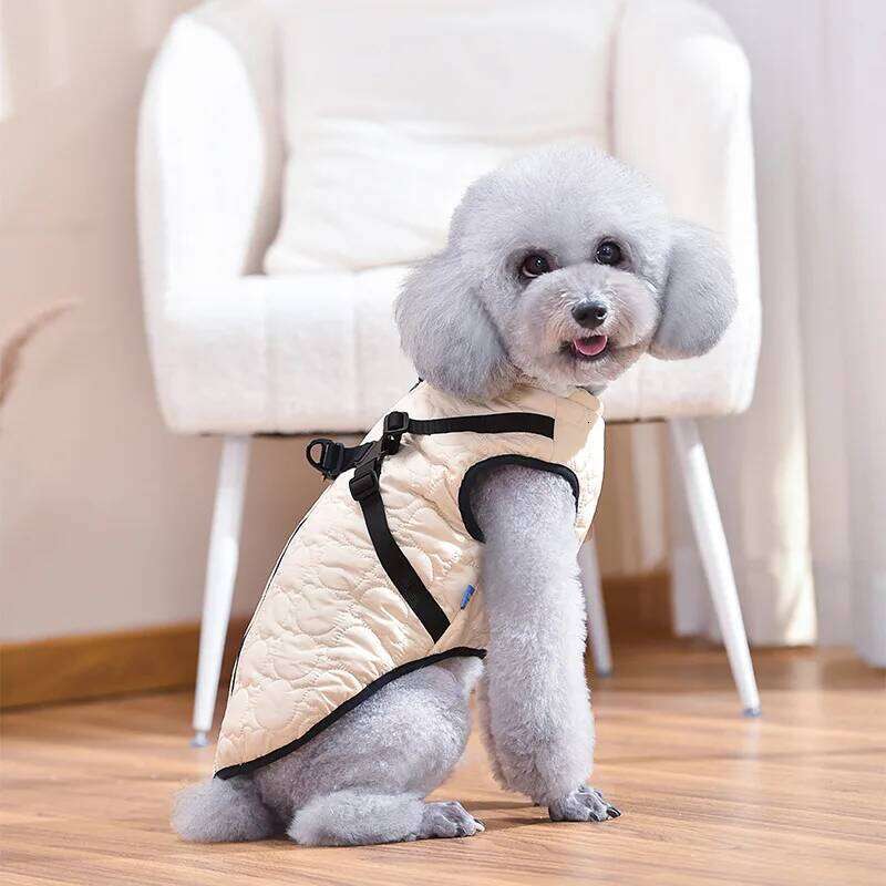 Bear Coat For Small Medium Dog D-Ring Puppy Anmial Jacket Winter Warm Cotton Paded Fleece XS 4XL Pet Harness Vest Outfit Clothes XJ260127