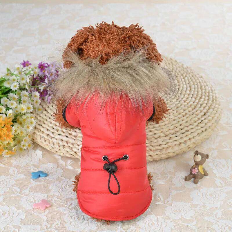 XS-XL Warm Small Coat Jacket Puppy Outfits For Chihuahua Yorkie Dog Winter Clothes Pets Clothing Chiuaua XJ260127