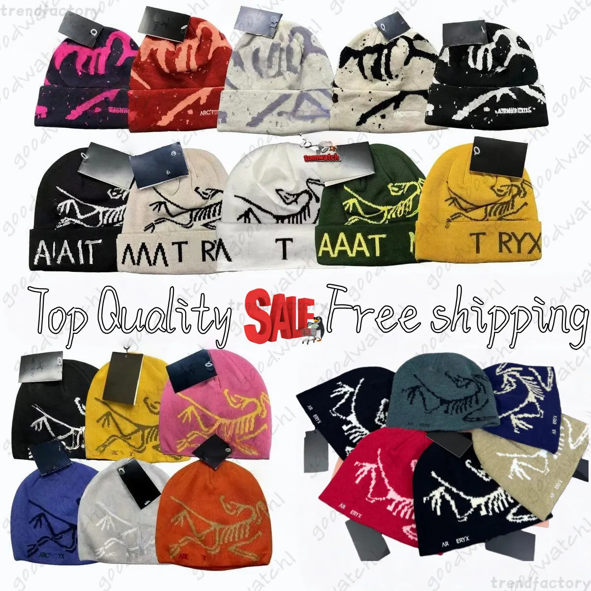 Arcteryrxlies Beanie Fashion Classic Designer Beanies Bonnet Artery Skull Cap Casquette Knitted Fitted Hats Men Mens Luxury Muts Berretto ARC Beanie 46C