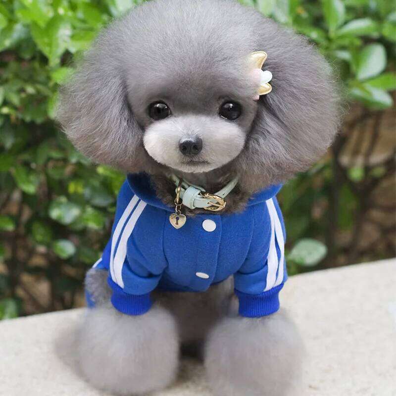 Clothes Thick Overalls Dogs, Winter Pet Dog Clothing Small Dogs Puppy Jumpsuit Tracksuit Costume for Yorkie XJ260127