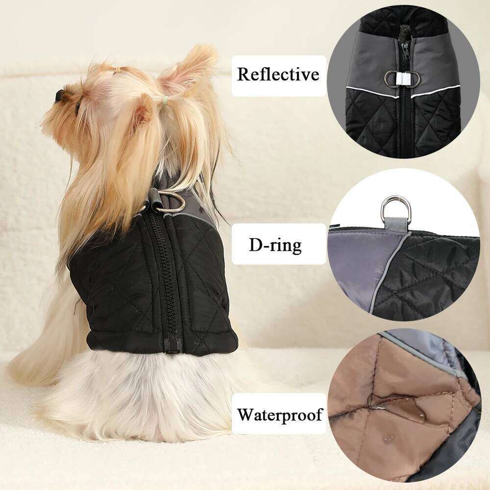 Winter Dog Jacket Windproof Reflective Pet Clothes For Small Big Dogs Cat Costume Puppy Coat Vest With D-ring Chihuahua Outfits XJ260127