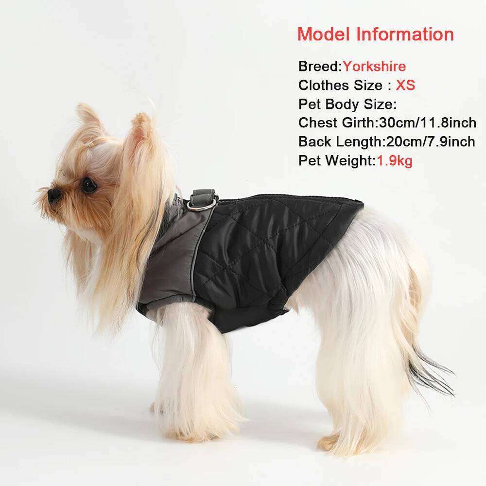 Winter Dog Jacket Windproof Reflective Pet Clothes For Small Big Dogs Cat Costume Puppy Coat Vest With D-ring Chihuahua Outfits XJ260127