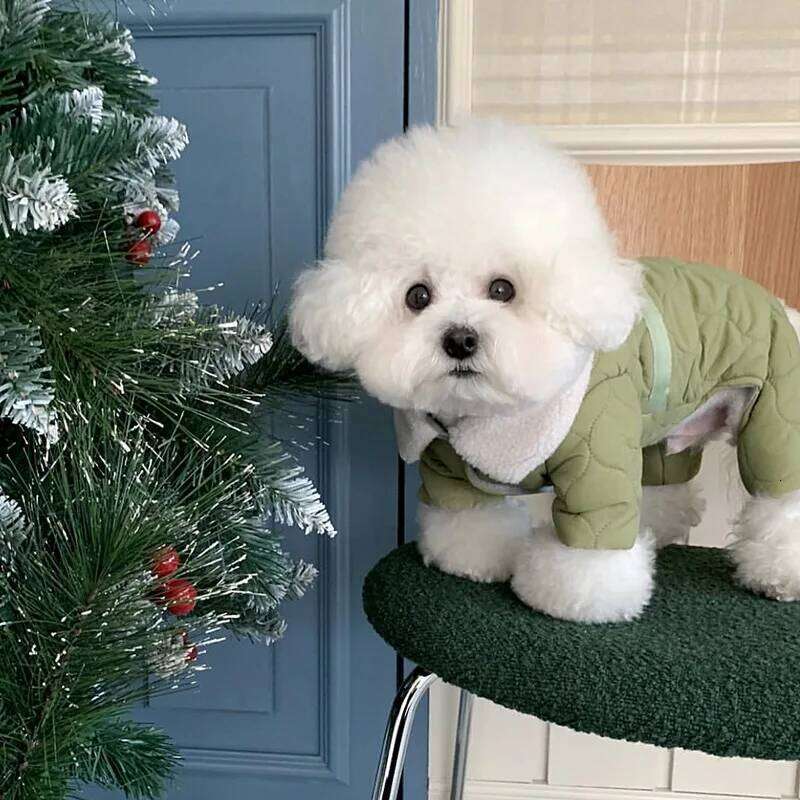 Pet Warm Plaid Coat Four Legged Autumn and Winter Clothes Thick Fashion Teddy Bear Small Dog Jackets XJ260127