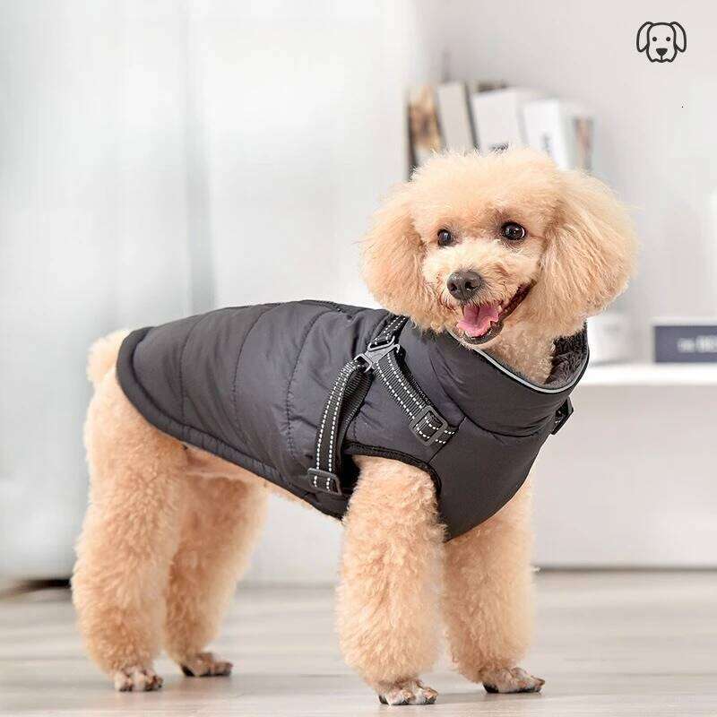 New Warm Dog Coat Winter Windproof Reflective Pet Clothes Turtleneck Waterproof Harness Jacket For Small Medium Large Dogs XJ260127