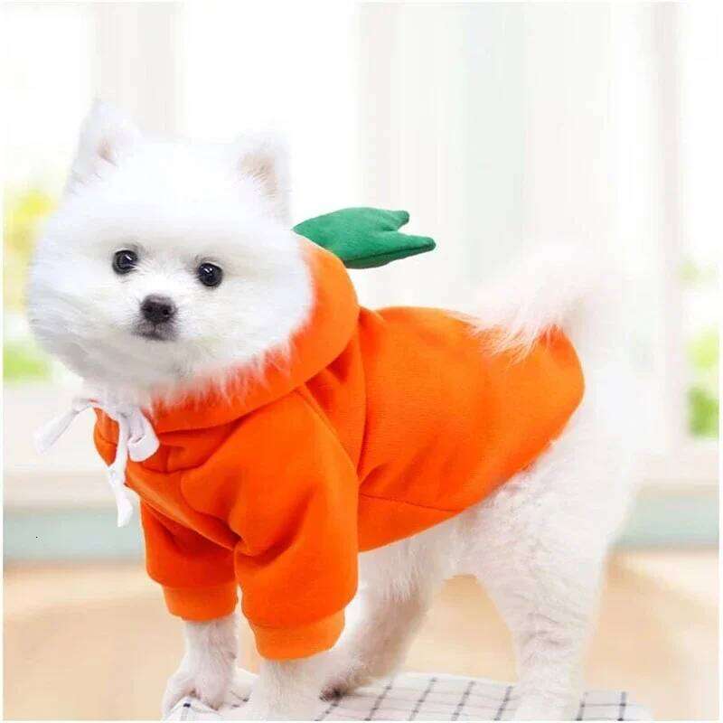 Cute Fruit Dog Clothes Small Dogs hoodies Warm Fleece Pet Clothing Puppy Cat Costume Coat for French Chihuahua Jacket Suit XJ260127