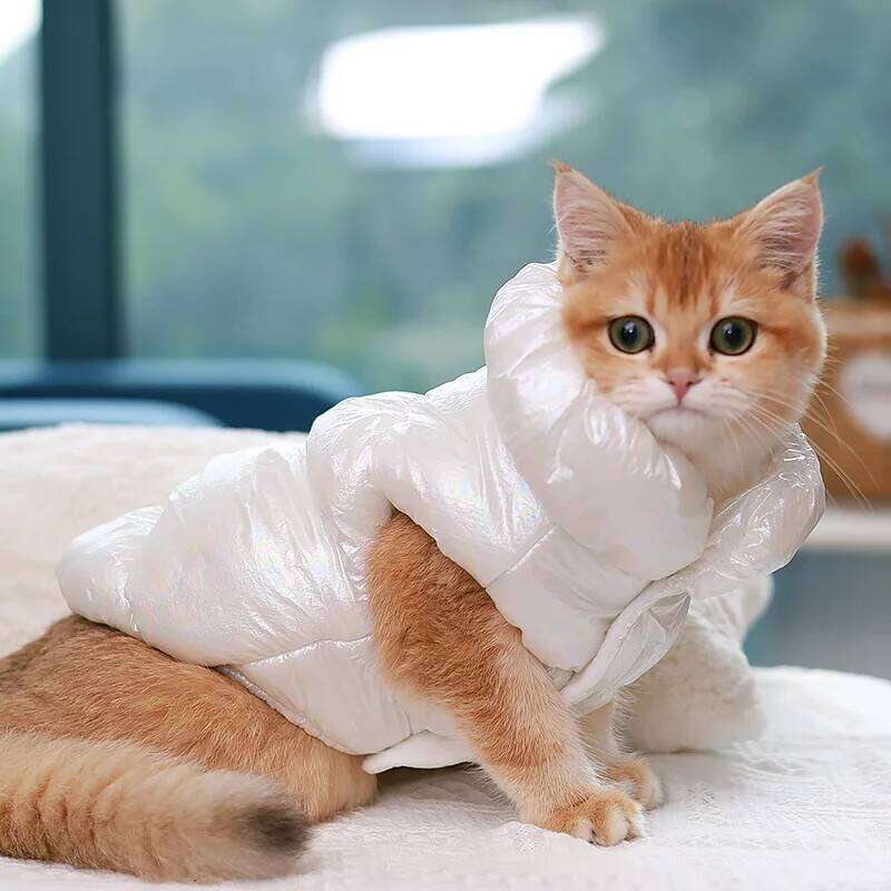 XS-XXL Cat Princess Vest Fleece Coat Warm Clothes Down Jacket for Small Medium Dog Pet Clothing Bulldogs Puppy Costume Coats XJ260127