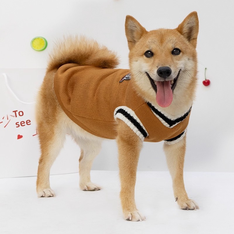 Dog Winter Clothes New Style Sweater for Shiba Inu Corgi Bichon Teddy Warm Outfit College Style Hoodie