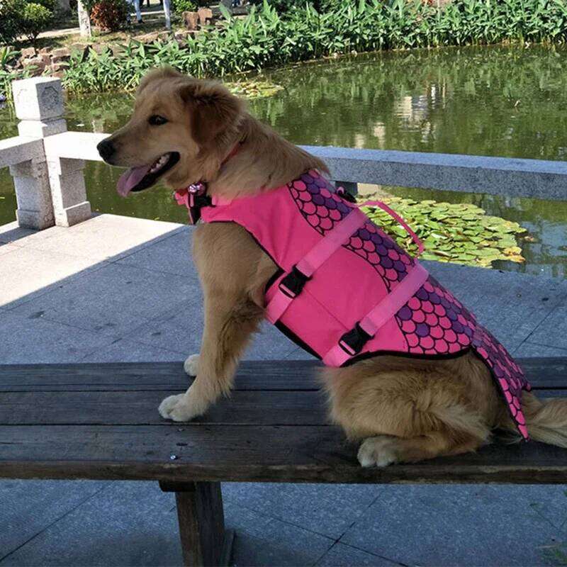 Shark Life Jacket Enhanced Buoyancy Small Dogs Swimming Clothes Safety Vest with Handle for Medium Large Dog Surfing Costume XJ260127