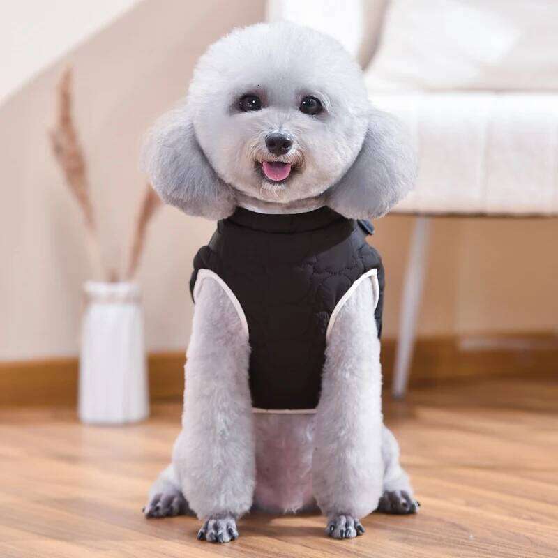 Bear Coat For Small Medium Dog D-Ring Puppy Anmial Jacket Winter Warm Cotton Paded Fleece XS 4XL Pet Harness Vest Outfit Clothes XJ260127
