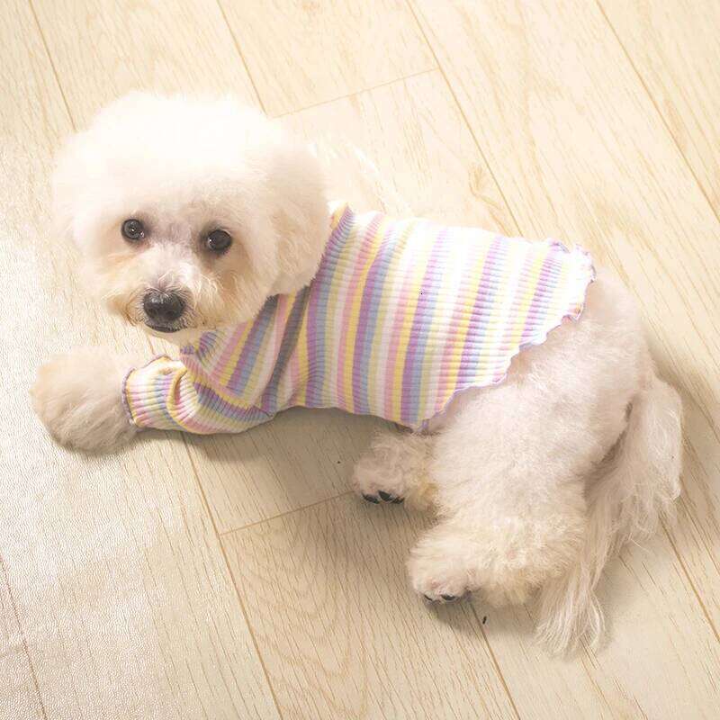 Autumn Teddy than Bear Striped Vest Cute Warm Clothing Classic Design Dog Clothes Pet Supplies XJ260127