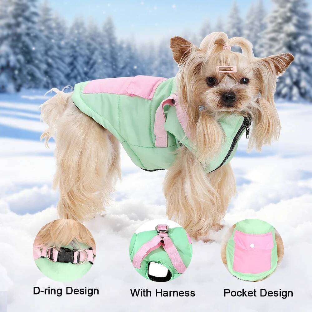 Puppy Clothes with Harness Winter Warm Dog Jacket for Small Medium Dogs Cats Apparel Chihuahua French Bulldog Pug Pet Costume XJ260127