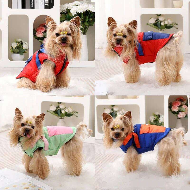 Puppy Clothes with Harness Winter Warm Dog Jacket for Small Medium Dogs Cats Apparel Chihuahua French Bulldog Pug Pet Costume XJ260127