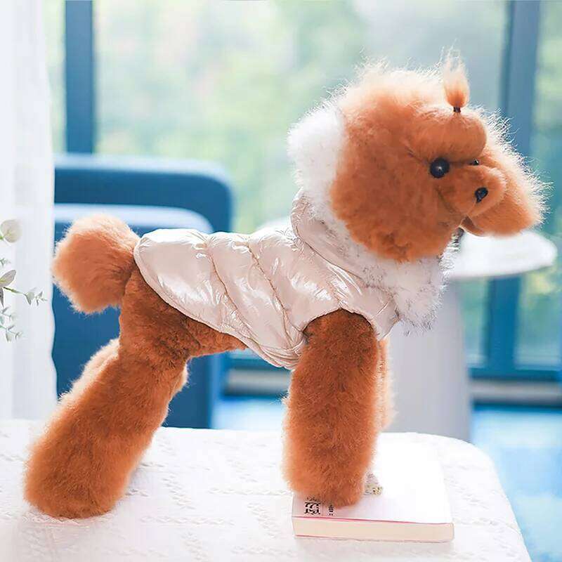 Winter Dog Clothes Warm Down Coat for Small Dogs Thicken Waterproof Hooded Puppy Pet Jacket Windproof Clothing Overalls XJ260127