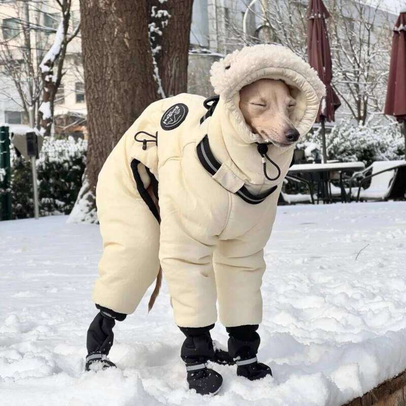 Winter Versatile Cotton Greyhound Dobbin Alaska Large Dog Cold Clothes Pet Outfits Puppy Warm Jackets XJ260127
