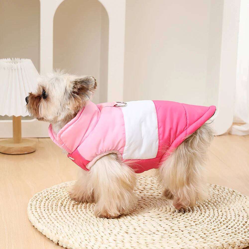 Winter Dog Clothes for Small Medium Dogs Warm Pet Jacket With D-Ring Windproof Waterproof Puppy Coat Chihuahua Yorkshire Outfits XJ260127