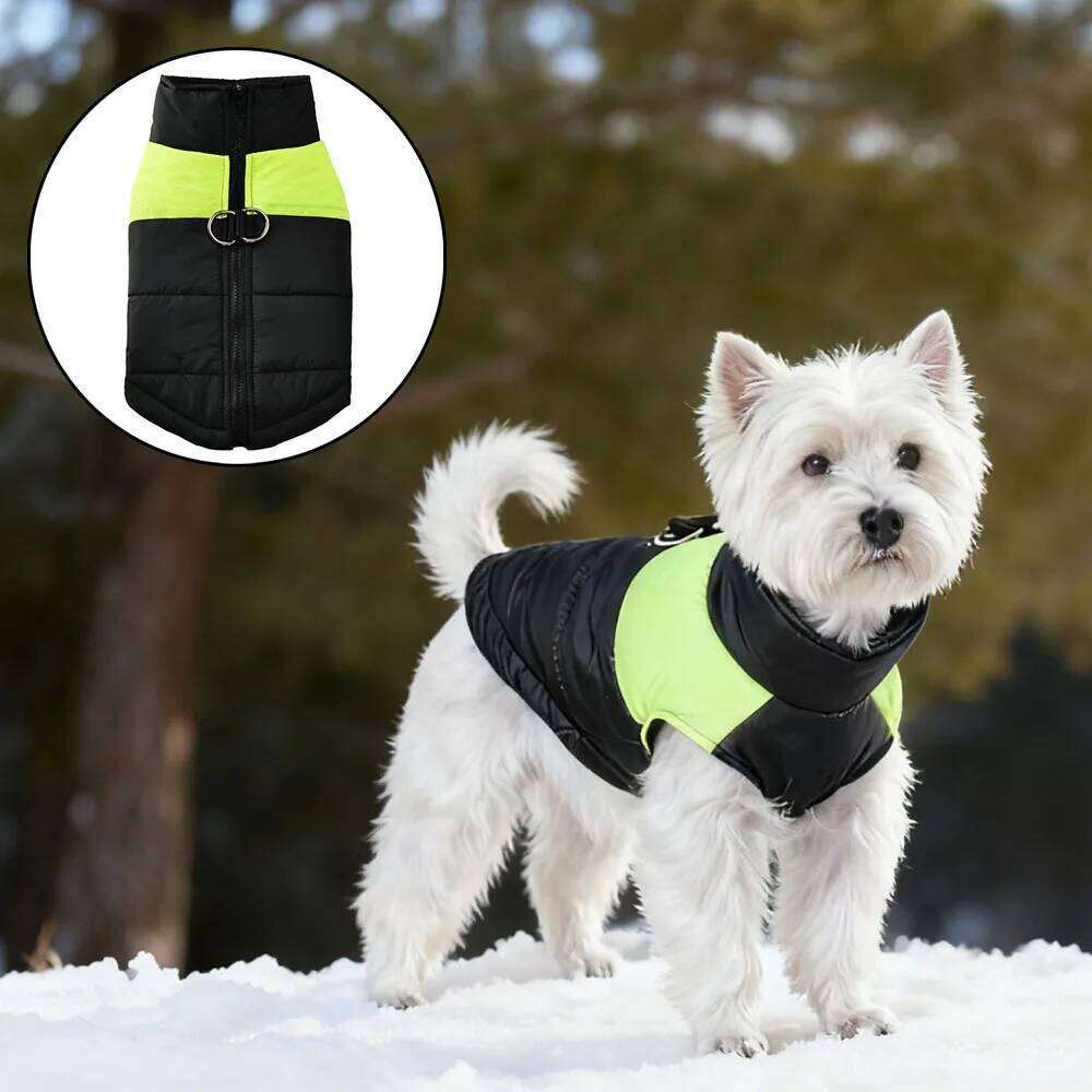 Waterproof Pet Jacket Winter Warm Puppy Clothes Outdoor Dog Zipper Coat With D-Ring For Small Large Dogs Cats Chihuahua Labrodor XJ260127