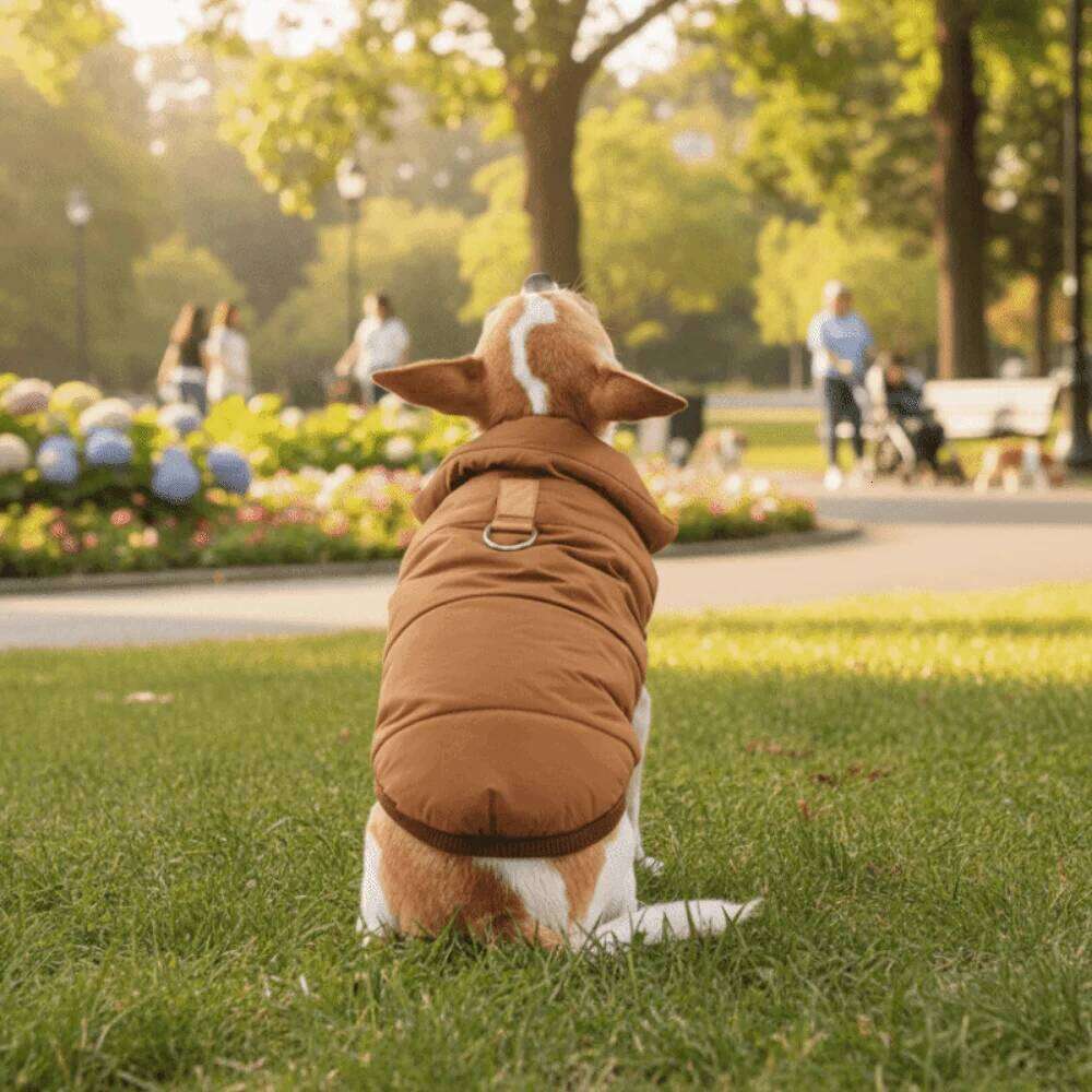 Pet Clothes Waterproof Winter Coat Fleece Thickened Cotton Jacket with D Shape Ring Warm Dog Vest Small Medium Dogs XJ260127