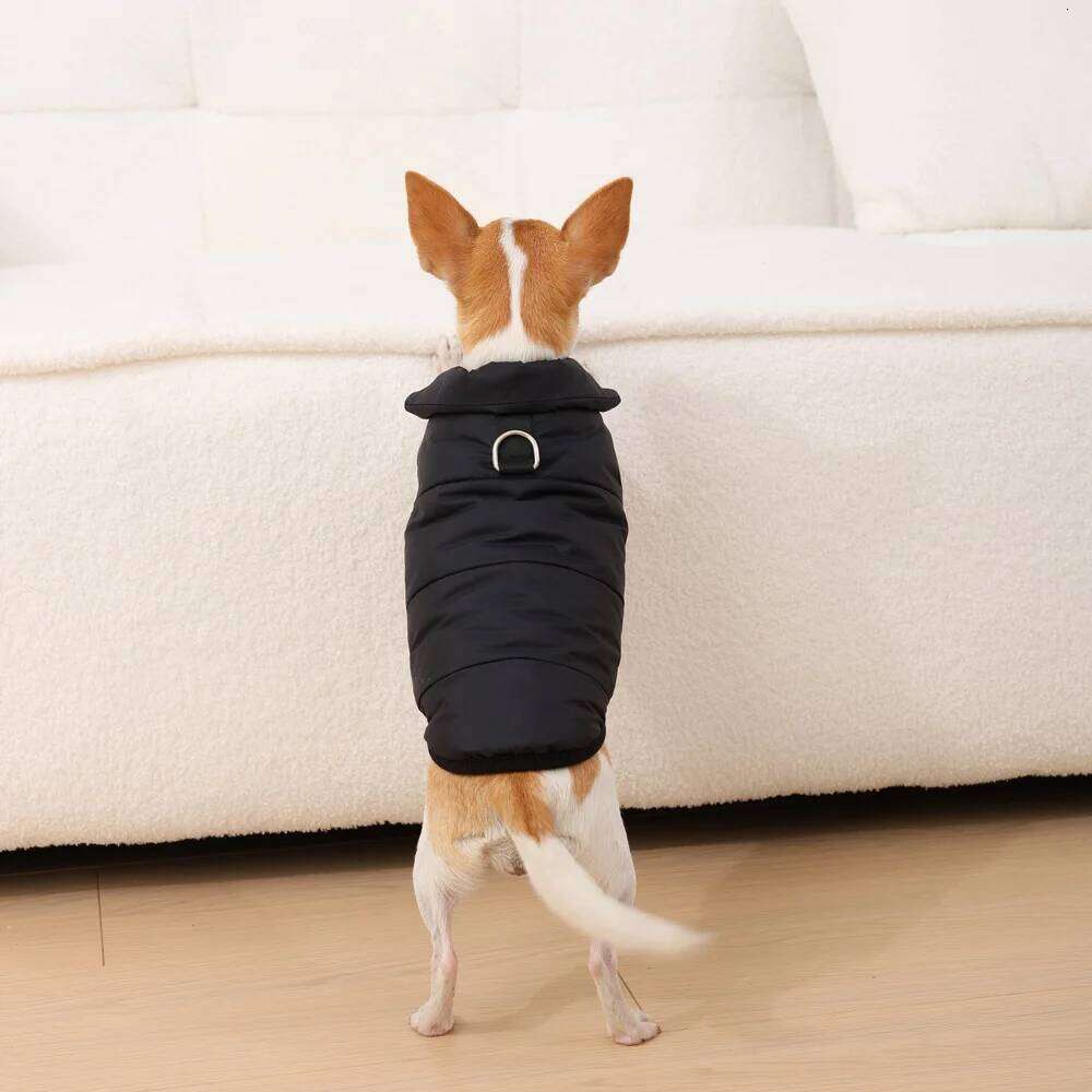 Warm Fleece Pet Jacket Winter Thick Small Dog Coat With D-ring Soft Padded Clothes For Chihuahua Yorkshire Overalls Outfits XJ260127