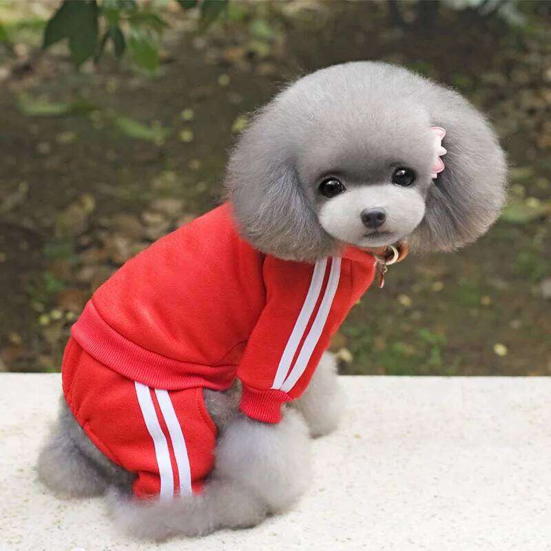 Clothes Thick Overalls Dogs, Winter Pet Dog Clothing Small Dogs Puppy Jumpsuit Tracksuit Costume for Yorkie XJ260127
