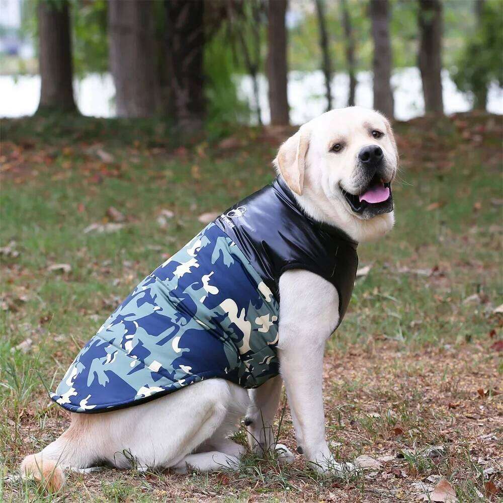 Golden Retriever.Waterproof Winter Jacket Clothes for Medium Large Dogs Warm Big Dog Padded Vest Clothing Labrador XJ260127