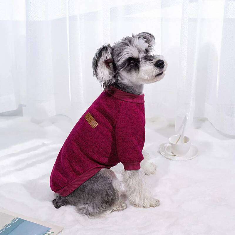 Puppy Cat Jacket Winter Warm Clothes for Small Dogs Coat Classic Pullover Clothing Outfit Sweatshirts Casual Pet Costumes XJ260127
