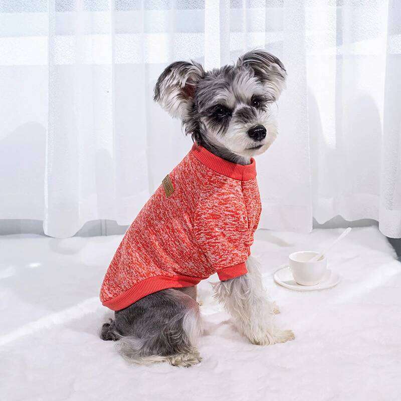 Puppy Cat Jacket Winter Warm Clothes for Small Dogs Coat Classic Pullover Clothing Outfit Sweatshirts Casual Pet Costumes XJ260127