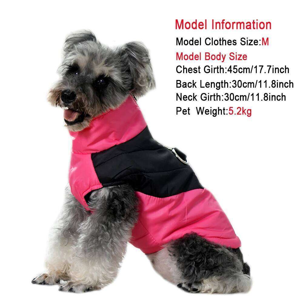 Pet Jacket D-ring Warm Dog Vest Winter For Small Medium Dogs Cats Waterproof Puppy Coat With High Collar Schnauzer XJ260127