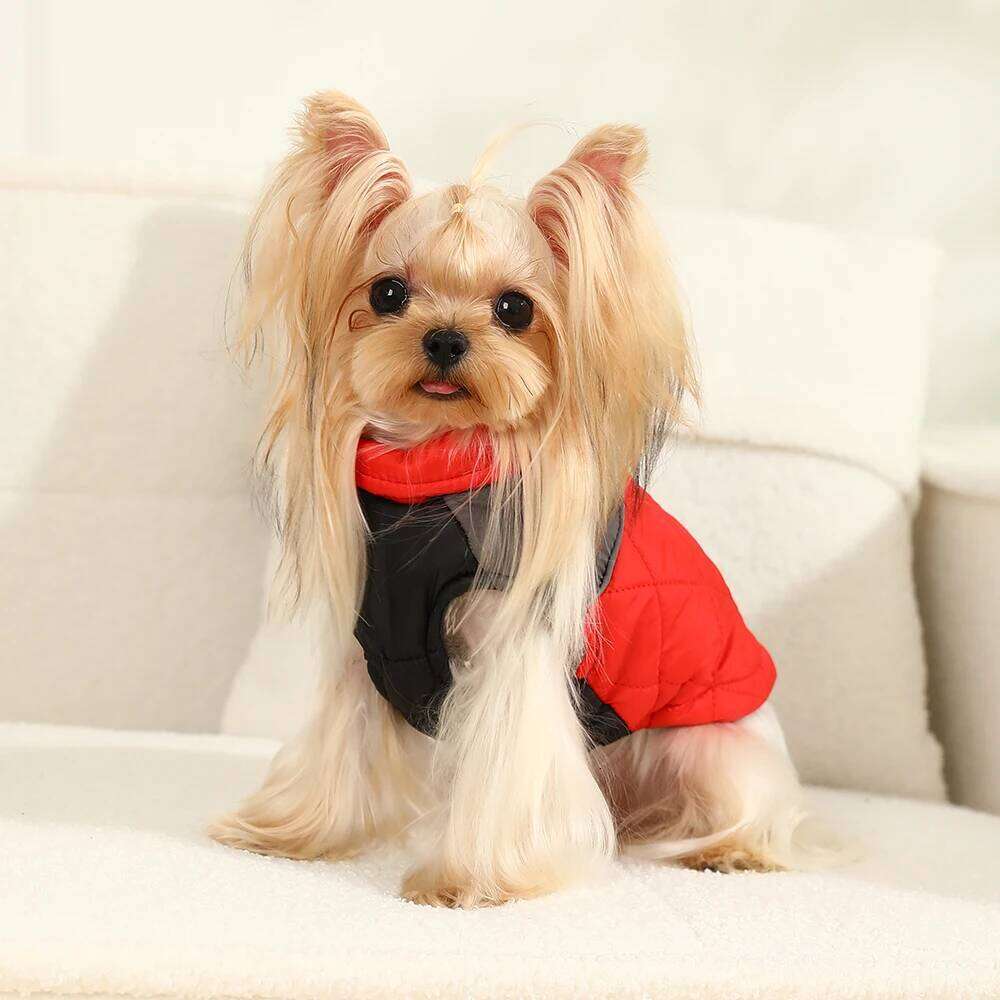 Winter Dog Jacket Windproof Reflective Pet Clothes For Small Big Dogs Cat Costume Puppy Coat Vest With D-ring Chihuahua Outfits XJ260127