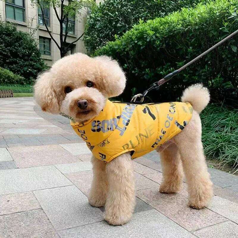Winter Warm Pet Coat Jacket for Medium Large Dogs Waterproof Big Dog Clothes Shepherds Greyhound mascotas Clothing disfraz perro XJ260127