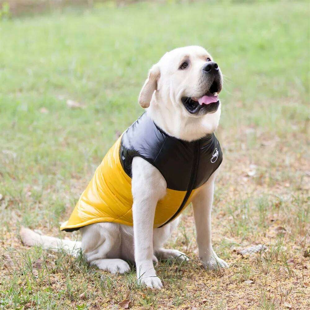 Golden Retriever.Waterproof Winter Jacket Clothes for Medium Large Dogs Warm Big Dog Padded Vest Clothing Labrador XJ260127