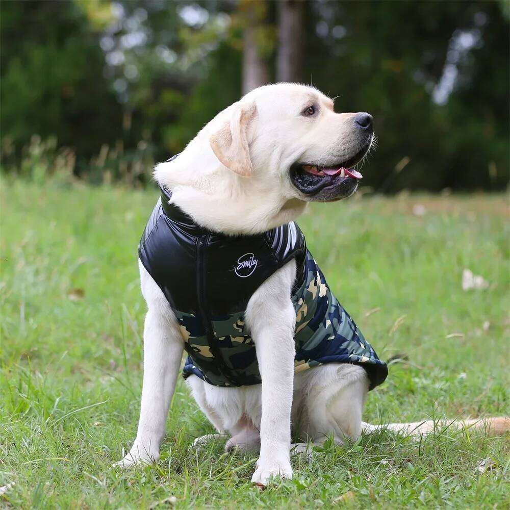 Golden Retriever.Waterproof Winter Jacket Clothes for Medium Large Dogs Warm Big Dog Padded Vest Clothing Labrador XJ260127