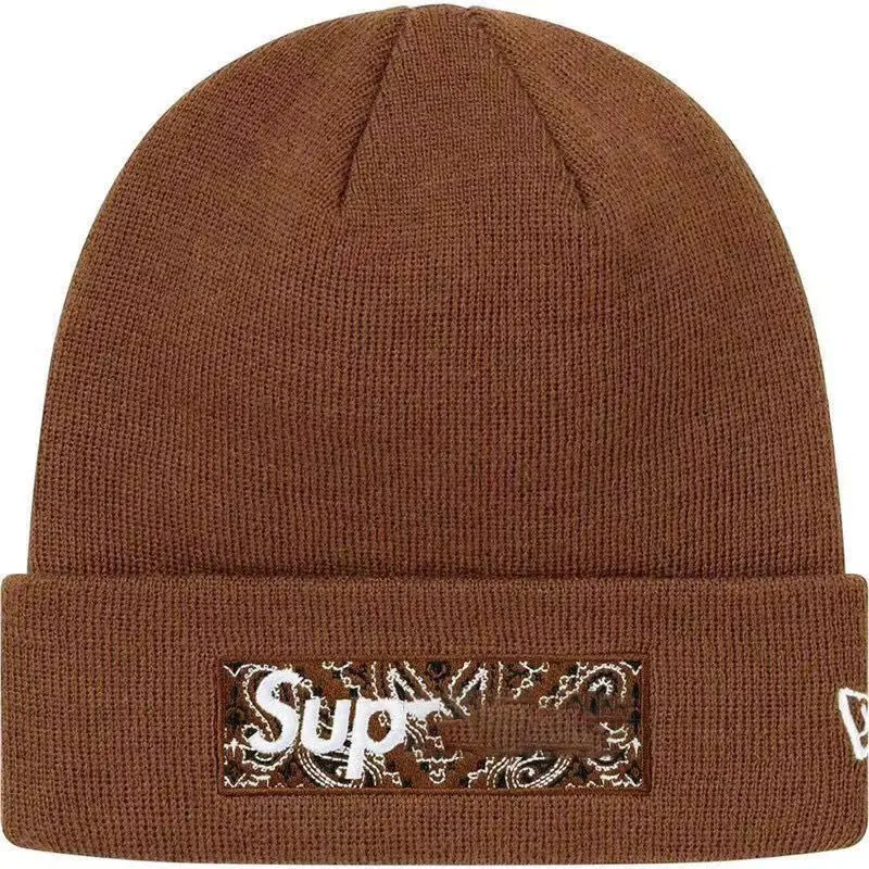 supremely designer beanie bonnet homme winter hat luxe beanies mens beanie Y2K designer mens hats beanie men cappello hats designers women cap casquette luxe caps