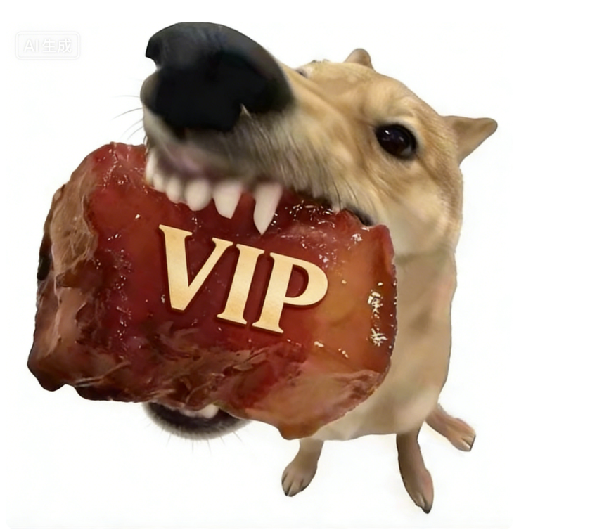 MaJY XX-10 VIP link VIP Payment Gateway Complete Purchases, Pay Differences and Priority Logistics