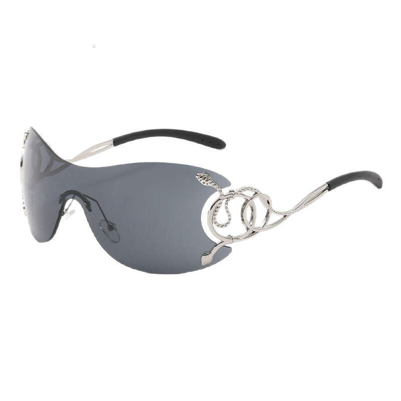 Y2K Snake Sunglasses Pattern Purple Pink Large Frame Street Style for Driving Outdoor Daily Wear Gift High Quality 1 Texture