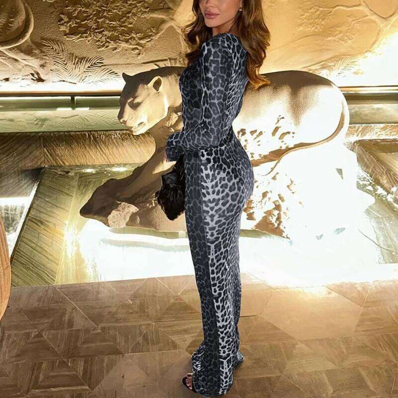 Fashion Spring and Autumn Season Crew Neck Leopard Print Long Elegant Slim Sexy Semi-transparent Women's Dress