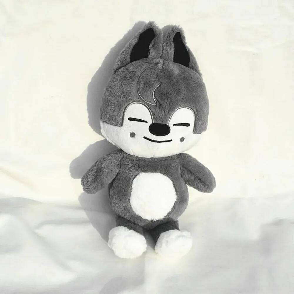 50cm SKZOO Teddy Hug Pillow Fans Plush Toy Seoul FM Week Cloak Doll Magic School Kid Birthday Gift Y260128