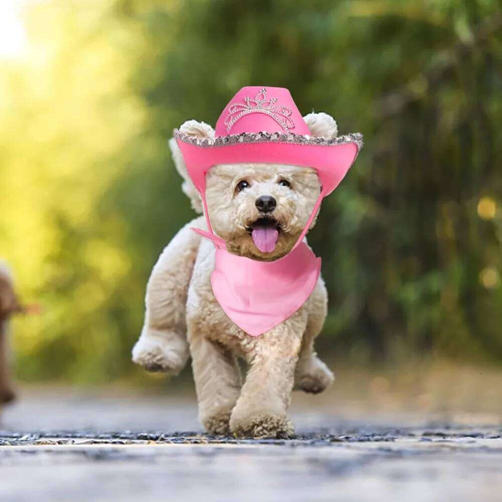 Pet Cowboy Accessory Set Dog Size Pink Cowgirl Princess Hat for Cat Puppy Western Costume Daily Wearing 26H0129