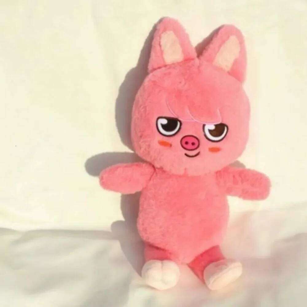 50cm SKZOO Teddy Hug Pillow Fans Plush Toy Seoul FM Week Cloak Doll Magic School Kid Birthday Gift Y260128