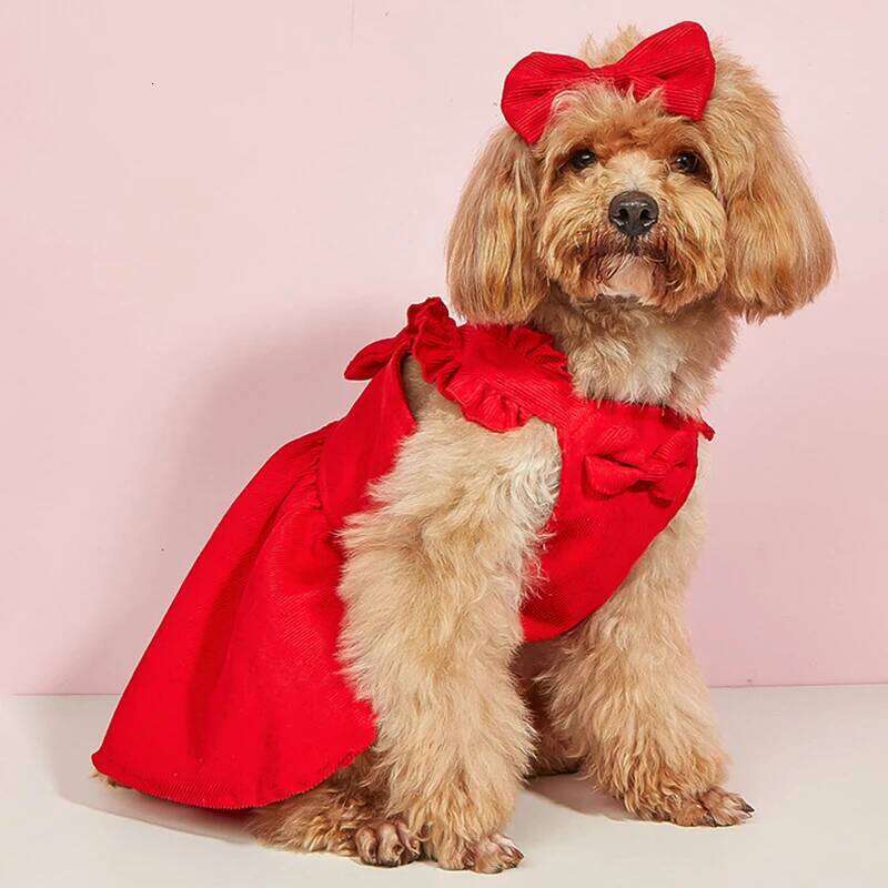 New autumn winter cute bow dog clothes, puppy skirts, elegant, fashionable and versatile small fresh style pet clothes H260129