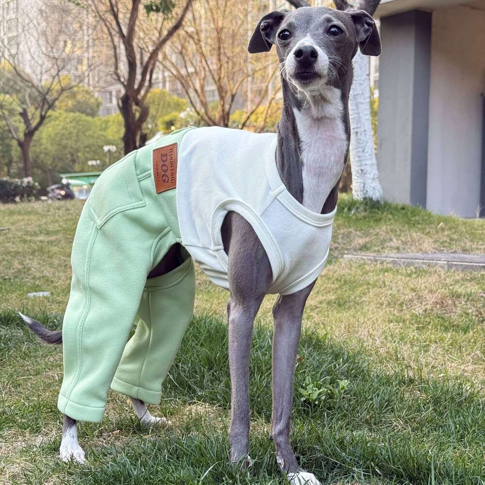 Famous brand Clothing Dogs One piece Spring Cotton Denim Jumpsuit High stretch T shirt Pant for Italian Greyhound Poodle Green Costumes pupakaIK