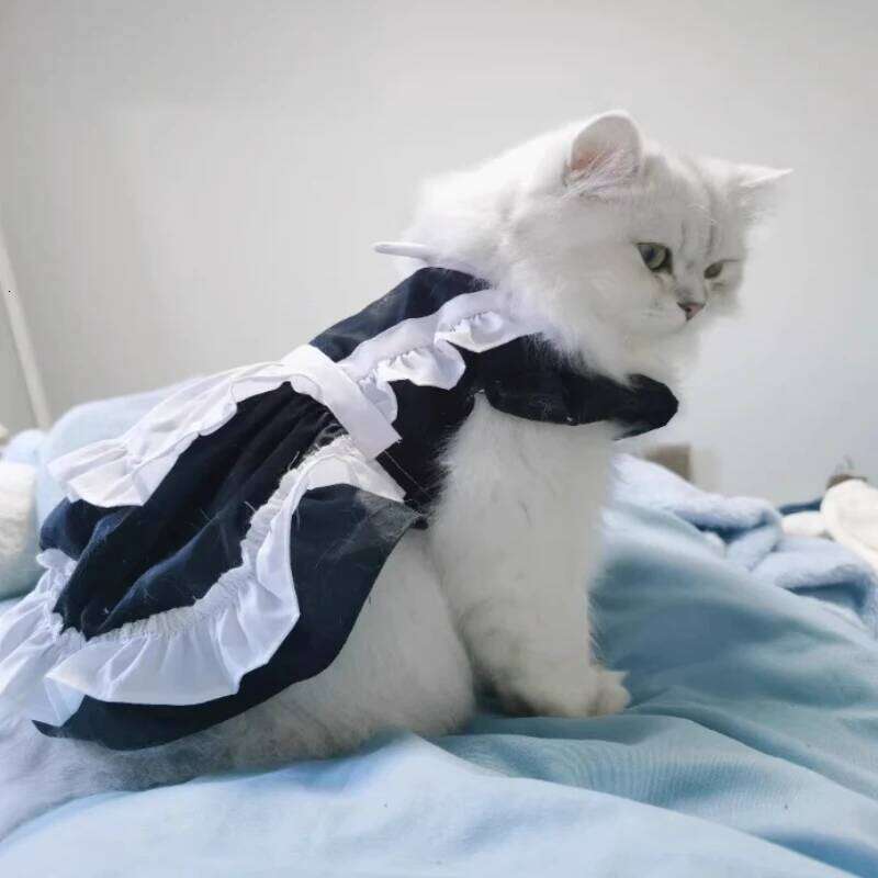 Clothes Summer Pussy Princess Dress Black Deacon Anime Maid Lolita Small Dog Teddy Pet Supplies H260129