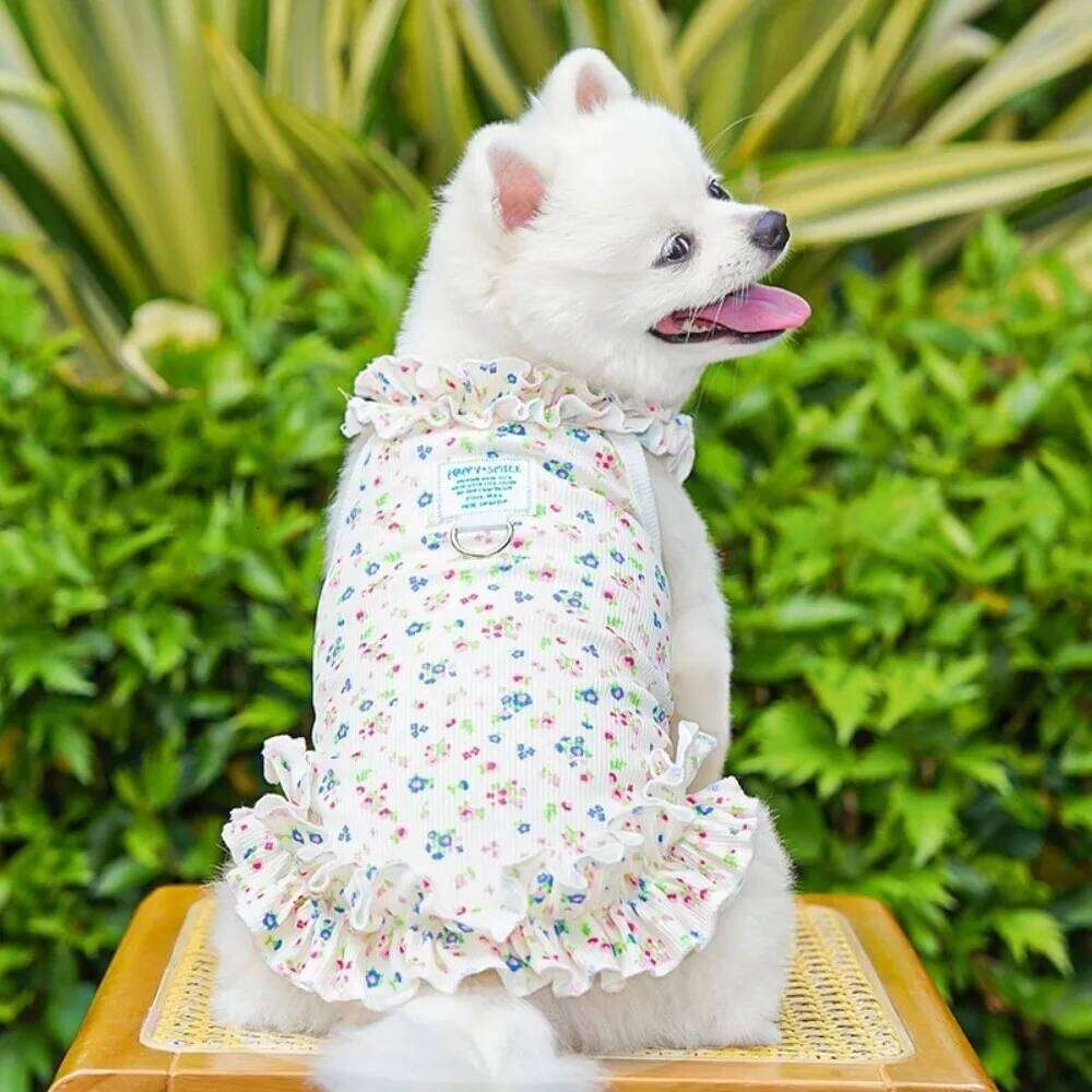 Summer Pet Dress Thin Material Simple Design Dog Clothes Tank Top Style Love Heart Print Cooling Vest H260130