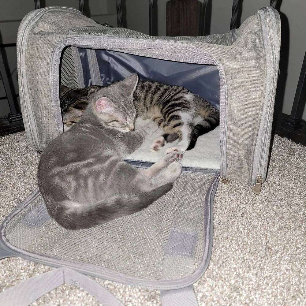 Portable Foldable Pet Dog Cat Carrier Small Medium Cats Dogs Ventilated Mesh Design for Travel & Outdoor Adventure 26H0130